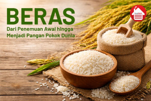 Beras: Dari Penemuan Awal hingga Menjadi Pangan Pokok Dunia