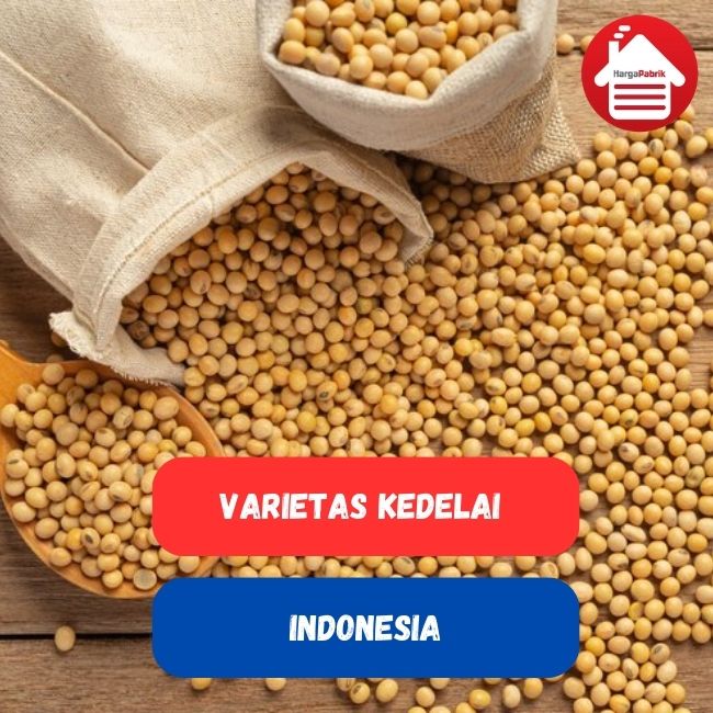 Mengenal 5 Varietas Kedelai Unggulan Di Indonesia