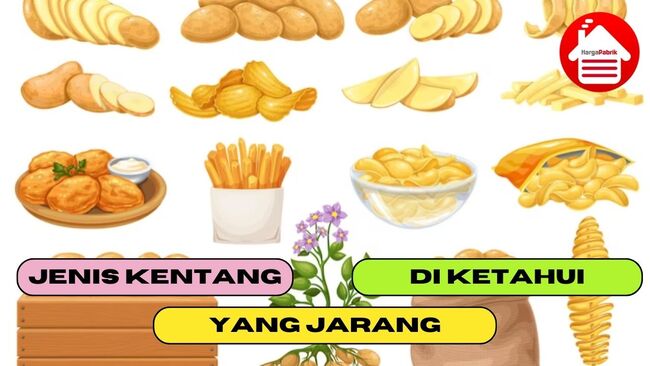 Jenis Kentang Yang Jarang Di Ketahui