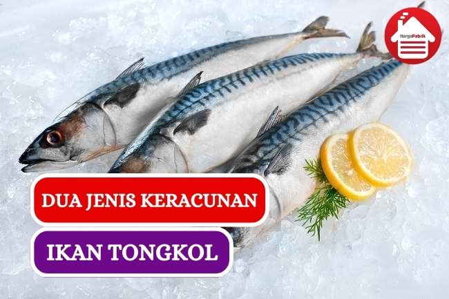 Jenis Keracunan Ikan Tongkol Yang Harus Kamu Tau