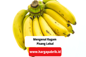 Mengenal Ragam Pisang Lokal