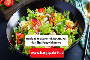 Selada untuk Kecantikan dan Tips Pengolahannya