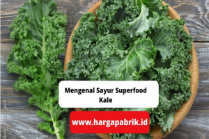 Mengenal Sayur Superfood Kale