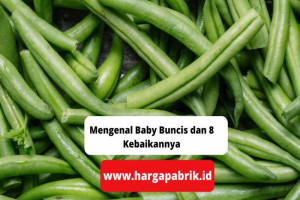 Mengenal Baby Buncis dan 8 Kebaikannya