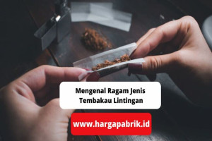 Mengenal Ragam Jenis Tembakau Lintingan