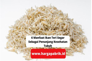 6 Manfaat Ikan Teri Segar Sebagai Penunjang Kesehatan Tubuh