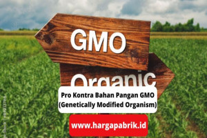 Pro Kontra Bahan Pangan GMO (Genetically Modified Organism)