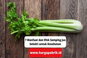 7 Manfaat dan Efek Samping Jus Seledri untuk Kesehatan