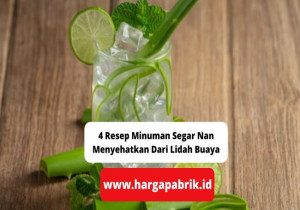 4 Resep Minuman Segar Nan Menyehatkan Dari Lidah Buaya