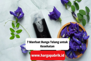 7 Manfaat Bunga Telang untuk Kesehatan