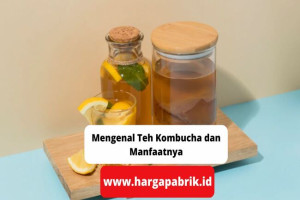 Mengenal Teh Kombucha dan Manfaatnya