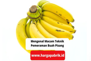 Mengenal Macam Teknik Pemeraman Buah Pisang