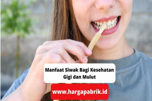 Manfaat Siwak Bagi Kesehatan Gigi dan Mulut