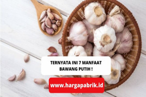 TERNYATA INI 7 MANFAAT BAWANG PUTIH !