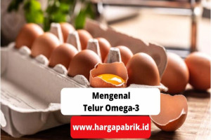 Mengenal Telur Omega 3