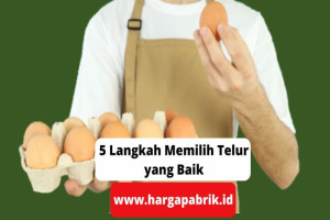 5 Langkah Memilih Telur yang Baik