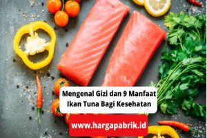 Mengenal Gizi dan 9 Manfaat Ikan Tuna Bagi Kesehatan