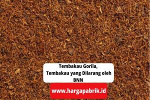 Tembakau Gorila, Tembakau yang Dilarang oleh BNN