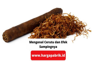 Mengenal Cerutu dan Efek Sampingnya