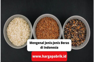 Mengenal Jenis-Jenis Beras di Indonesia