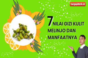 7 nilai gizi kulit melinjo dan manfaatnya