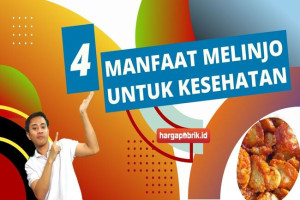 4 Manfaat Melinjo untuk Kesehatan