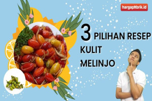 3 Pilihan Resep Kulit Melinjo