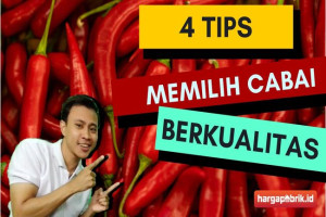 4 Tips Memilih Cabai Merah Besar Berkualitas