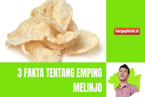 3 Fakta Tentang Emping Melinjo