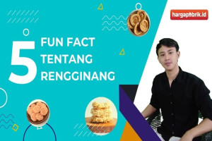 5 Fun Fact Tentang Rengginang