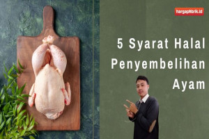 5 Syarat Halal Penyembelihan Ayam