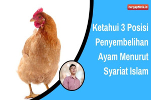 Ketahui 3 Posisi Penyembelihan Ayam Menurut Syariat Islam