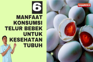 6 Manfaat Konsumsi Telur Bebek untuk Kesehatan Tubuh