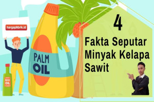 4 Fakta Seputar Minyak Kelapa Sawit