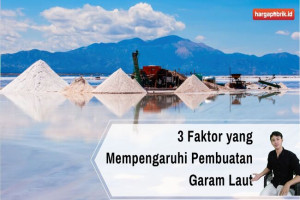 3 Faktor yang Mempengaruhi Pembuatan Garam Laut