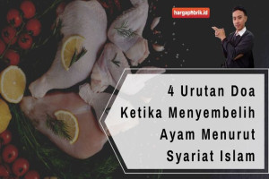 4 Urutan Doa Ketika Menyembelih Ayam Menurut Syariat Islam