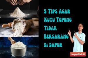 5 Tips Agar Kutu Tepung Tidak Bersarang di Dapur