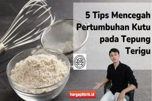 5 Tips Mencegah Pertumbuhan Kutu pada Tepung Terigu