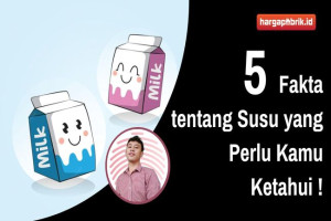 5 Fakta tentang Susu yang Perlu Kamu Ketahui !