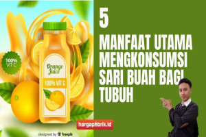 5 Manfaat Utama Mengkonsumsi Sari Buah Bagi Tubuh