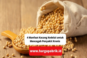 4 Manfaat Kacang Kedelai untuk Mencegah Penyakit Kronis 