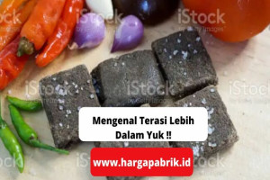 Mengenal Terasi Lebih Dalam Yuk !!