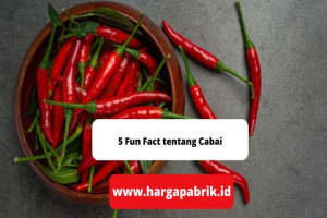 5 Fun Fact Tentang Cabai