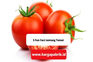 5 Fun Fact tentang Tomat 