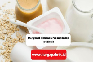 Mengenal Makanan Probiotik dan Prebiotik