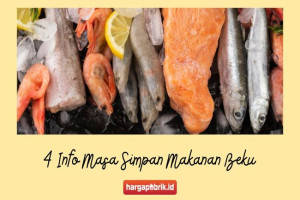 4 Info Masa Simpan Makanan Beku