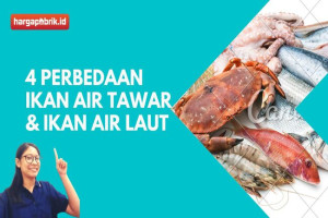 4 Perbedaan Ikan Air Tawar dan Ikan Air Laut