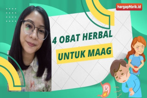 4 Obat Herbal untuk Maag