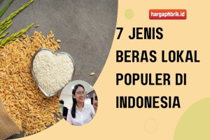 7 Jenis Beras Lokal Populer di indonesia