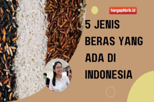 5 Jenis Beras yang ada di Indonesia